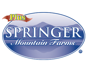 Springer_Plus_300x250